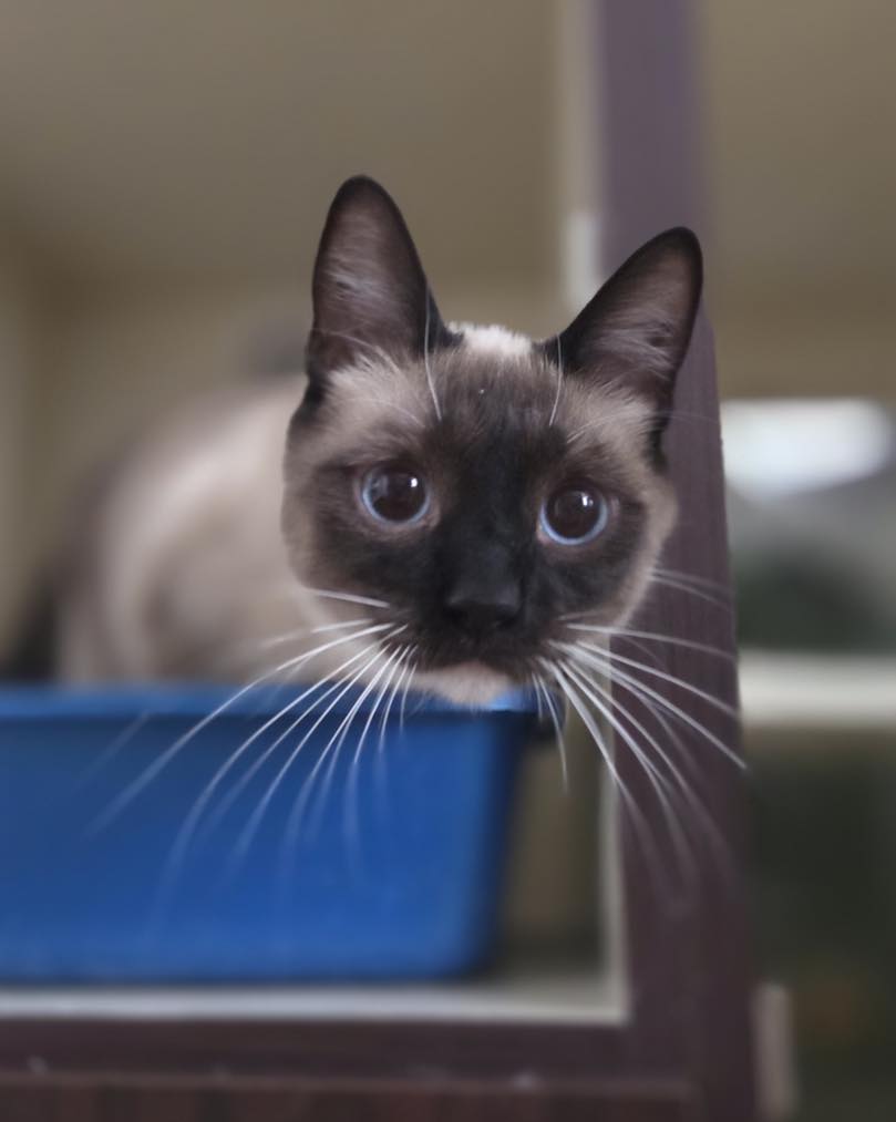 503232882_1279300724041195_8045960182351076327_n