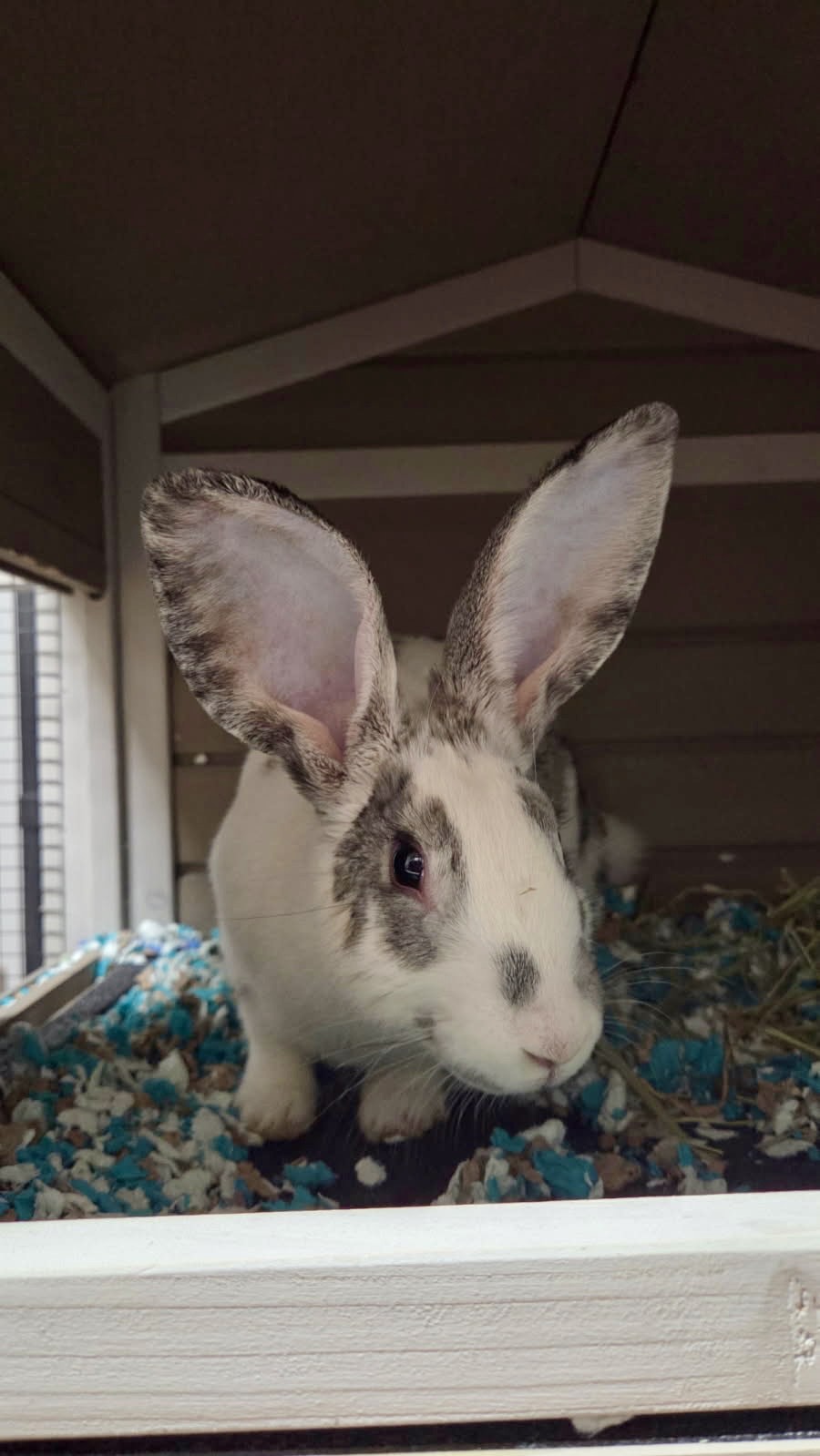 503686997_1279236397380961_6520195532794359142_n