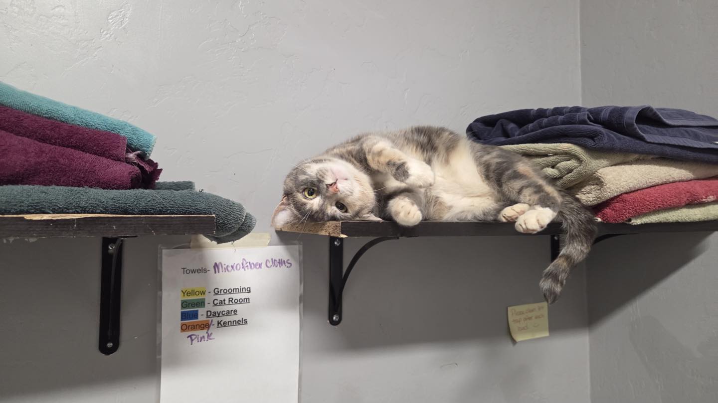 504359410_1282440280393906_3945068656929237965_n