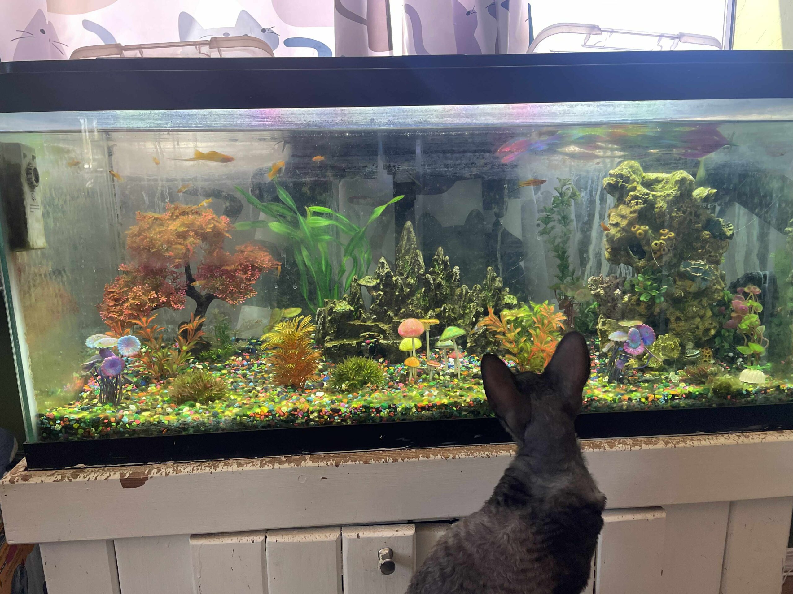 96465120-b6f2-4d77-93a2-208078346f0e